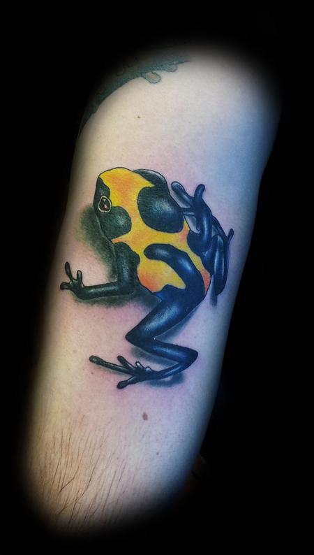 Tattoos - 3D full color tree frog - 86650